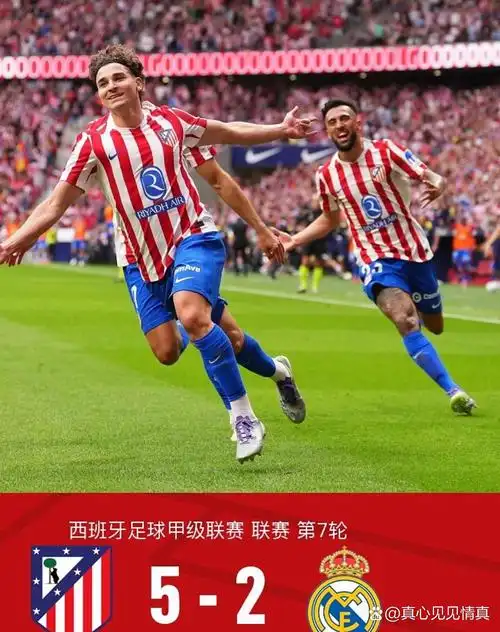 雨燕体育直播免费高清